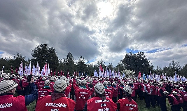 kartepeli-izciler-canakkalede-tarih-bilinciyle-yurudu.jpg