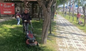 mendereste-ot-seferberligi.jpg
