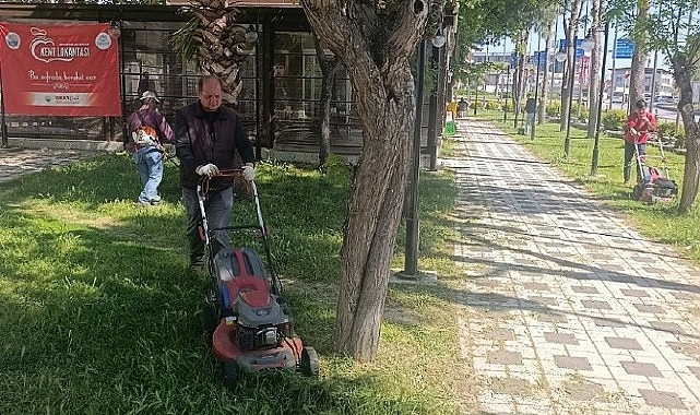 mendereste-ot-seferberligi.jpg
