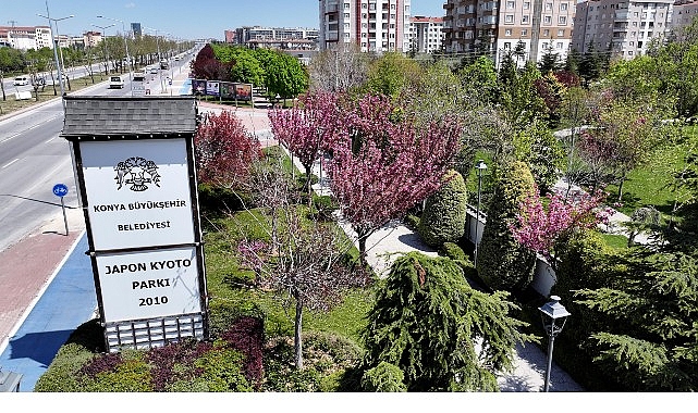 sakuralar-icin-japonyaya-gitmenize-gerek-yok-konyada-sakura-mevsimi-basladi.jpg
