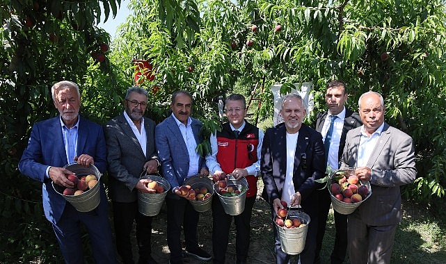 seftali-ve-nektarinde-hasat-zamani.jpg