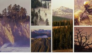 ulusal-parklar-amerika-ozel-3-mayis-pazar-saat-20-00de-national-geographic-wild-ekranlarinda-izleyicilerle-bulusuyor.jpg