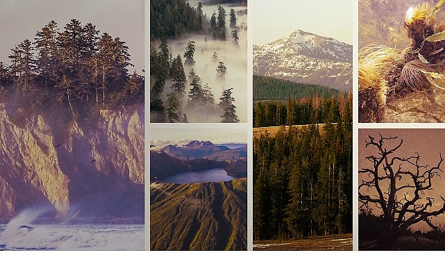 ulusal-parklar-amerika-ozel-3-mayis-pazar-saat-20-00de-national-geographic-wild-ekranlarinda-izleyicilerle-bulusuyor.jpg