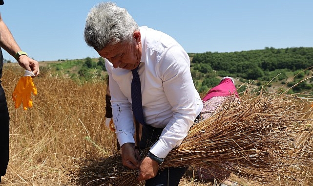 40-yil-aradan-sonra-kandirada-keten-uretimi-yeniden-basladi.jpg