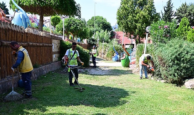 aydin-buyuksehir-belediyesinden-sokede-cevre-duzenleme-ve-peyzaj-calismasi.jpg