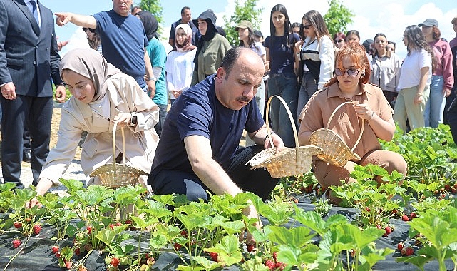baskan-altay-2027-yili-tarimsal-destek-basvurularinin-1-temmuzda-baslayacagini-duyurdu.jpg