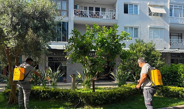 buyuksehirden-kemer-liman-caddesinde-bakim-onarim-calismasi.jpg