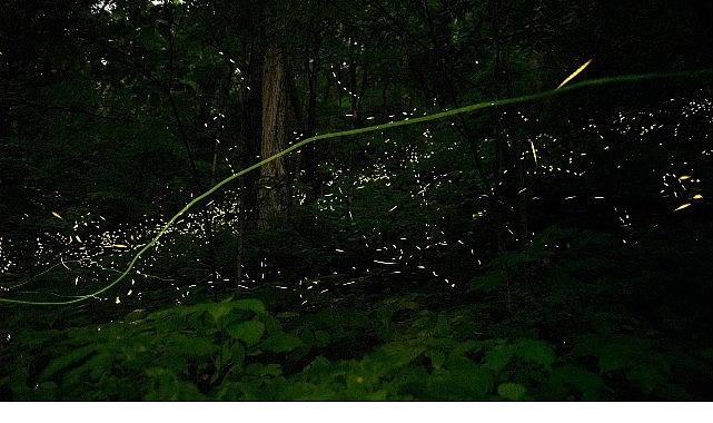 doganin-isiltisi-7-haziran-pazar-saat-20-00de-national-geographic-wild-ekranlarinda-izleyicilerle-bulusuyor.jpg