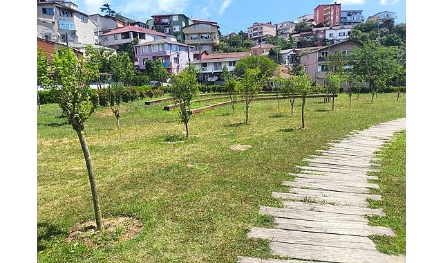 ibb-park-ve-bahcelere-meyve-agaclari-dikiyor.jpg