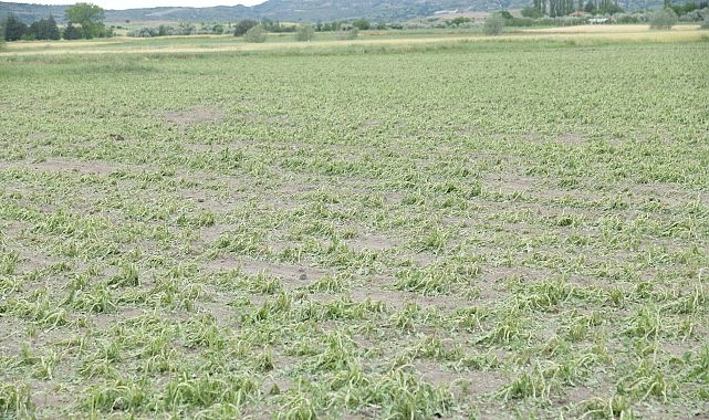 kahramankazanda-saganak-ve-dolu-hayati-felc-etti.jpg