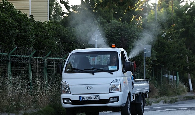 kucukcekmecede-sivrisineklere-karsi-mucadele-yogunlasti.jpg