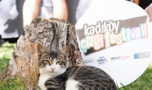7. Kadıköy Çizgi Festivali Başlıyor