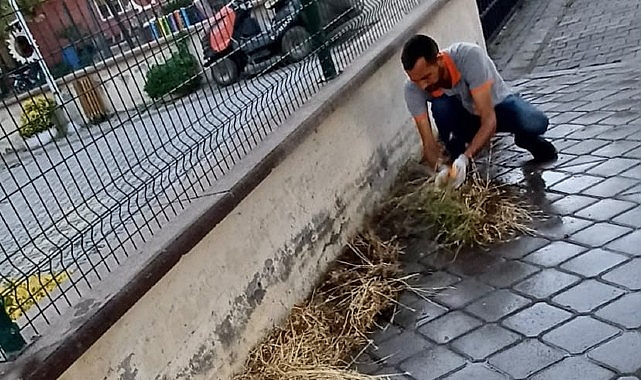 Burhaniye’de Mazgal Temizliği Çalışmaları Titizlikle Sürüyor