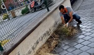 Burhaniye’de Mazgal Temizliği Çalışmaları Titizlikle Sürüyor