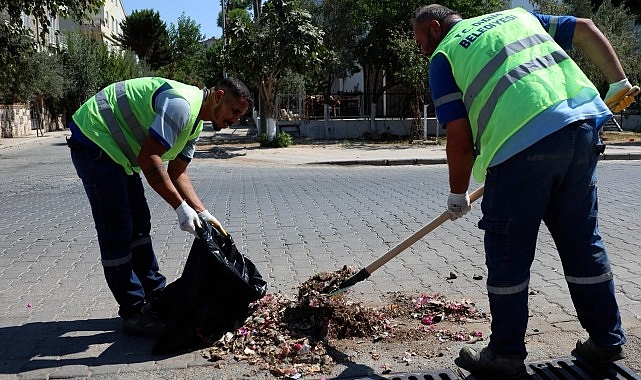 Didim Belediyesi’nden Mazgal Temizliği